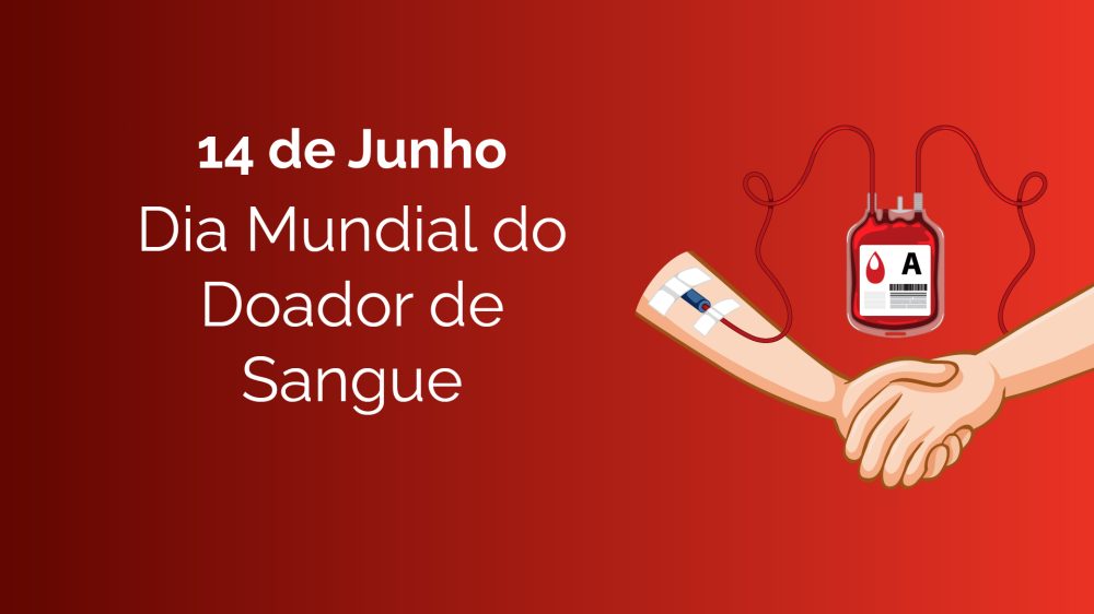 modelo2Prancheta-1-100